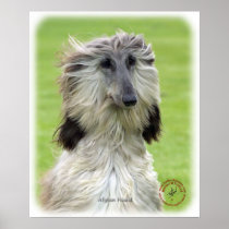 Afghan Hound 9R086D-69 Posters