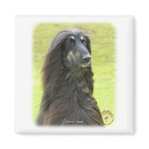 Afghan Hound 9R71D-30 Fridge Magnets