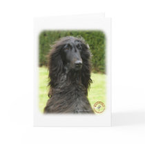 Afghan Hound 9T027D-067 Greeting Cards