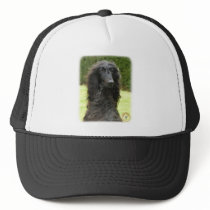 Afghan Hound 9T027D-067 Hat
