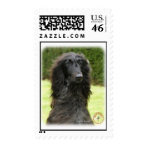 Afghan Hound 9T027D-067 Stamp