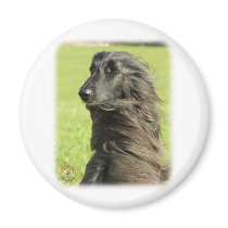 Afghan Hound 9W43D-116 Fridge Magnets