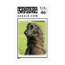 Afghan Hound 9W43D-116 Postage Stamp