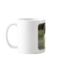 Afghan Hound 9Y119D-037 Coffee Mugs