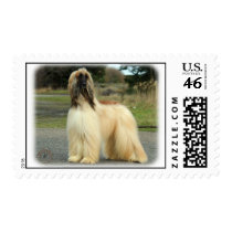 Afghan Hound 9Y119D-037 Stamps