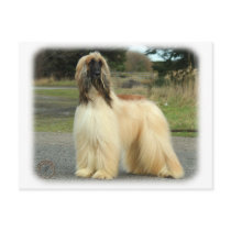 Afghan Hound 9Y119D-037 Postcard
