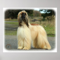 Afghan Hound 9Y119D-037 Print
