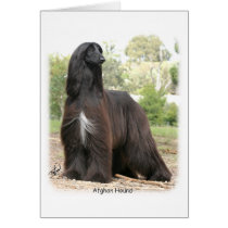 Afghan Hound 9Y151D-112 Greeting Card