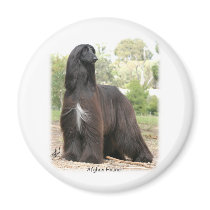 Afghan Hound 9Y151D-112 Magnet