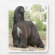Afghan Hound 9Y151D-112 Mouse Pads
