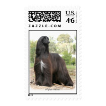 Afghan Hound 9Y151D-112 Postage
