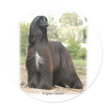Afghan Hound 9Y151D-112 Round Sticker
