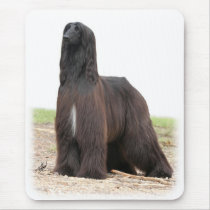 Afghan Hound 9Y151D-118 mousepads