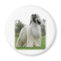 Afghan Hound 9Y247D-025 Fridge Magnets