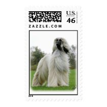 Afghan Hound 9Y247D-025 Postage Stamp