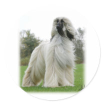 Afghan Hound 9Y247D-025 Stickers