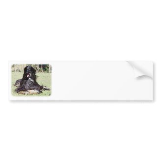 Afghan Hound AA017D-115 Bumper Sticker