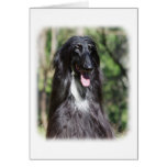 Afghan Hound AA017D-119 Card