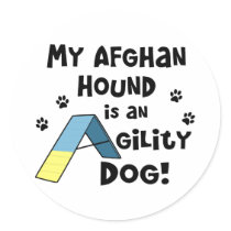 Afghan Hound Agility Dog Sticker
