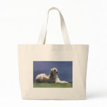 Afghan Hound bags