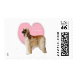 Afghan_Hound_beauty Postage