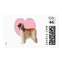 Afghan_Hound_beauty Postage