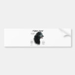 Afghan Hound (blk) History Design Bumper Sticker