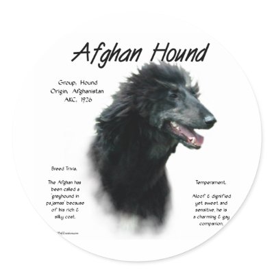 Afghan Hound (blk) History Design Stickers by GreyWolfCreation