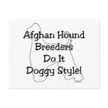 Afghan Hound Breeders Postcard