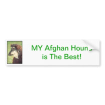 Afghan Hound Bumper Stickers