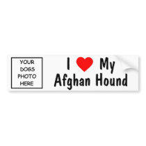 Afghan Hound Bumper Stickers