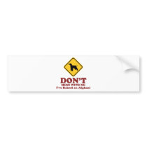 Afghan Hound Bumper Sticker