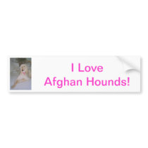 Afghan Hound Bumper Sticker
