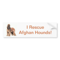 Afghan Hound Bumper Sticker