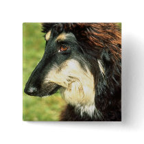 Afghan Hound Pinback Buttons