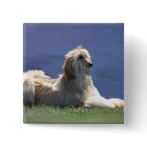 Afghan Hound Pins