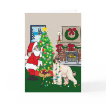 afghan hound cards by freespiritdesigns afghan hound cards