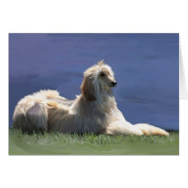Afghan Hound cards by Cazzies_Creations Afghan Hound cards