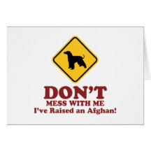 Afghan Hound Card