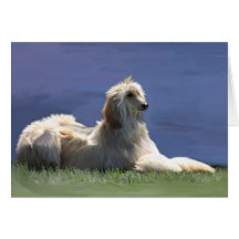 Afghan Hound Cards