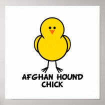 Afghan Hound Chick Print