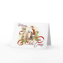 Afghan Hound Christmas Cards by jaisjewels Afghan Hound Christmas Cards