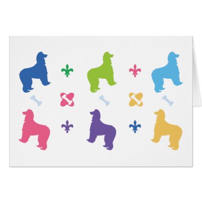 Afghan Hound Designer Card by DogPark