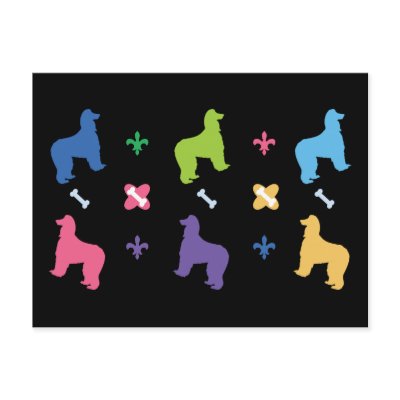 Afghan Hound Designer Post Cards by DogPark
