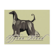 Afghan Hound, Detailed, Black Postcards