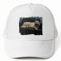 Afghan Hound Dog Baseball Hat
