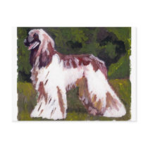 Afghan Hound Dog Postcard
