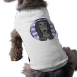Afghan Hound Pet Clothing