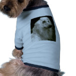 Afghan Hound Pet Tee