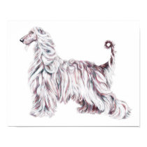 Afghan Hound Elegance posters